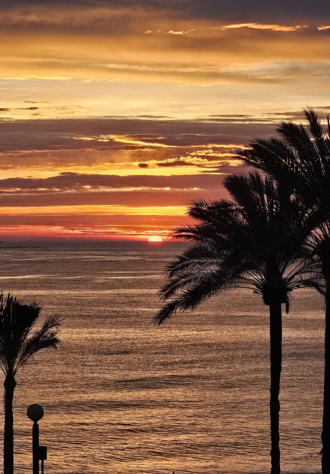 Apartamento Blanco El Albir ภายนอก รูปภาพ